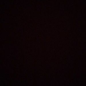 Meet your Posher, Ella